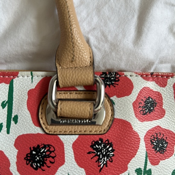 Tignanello nag - Picture 3 of 9